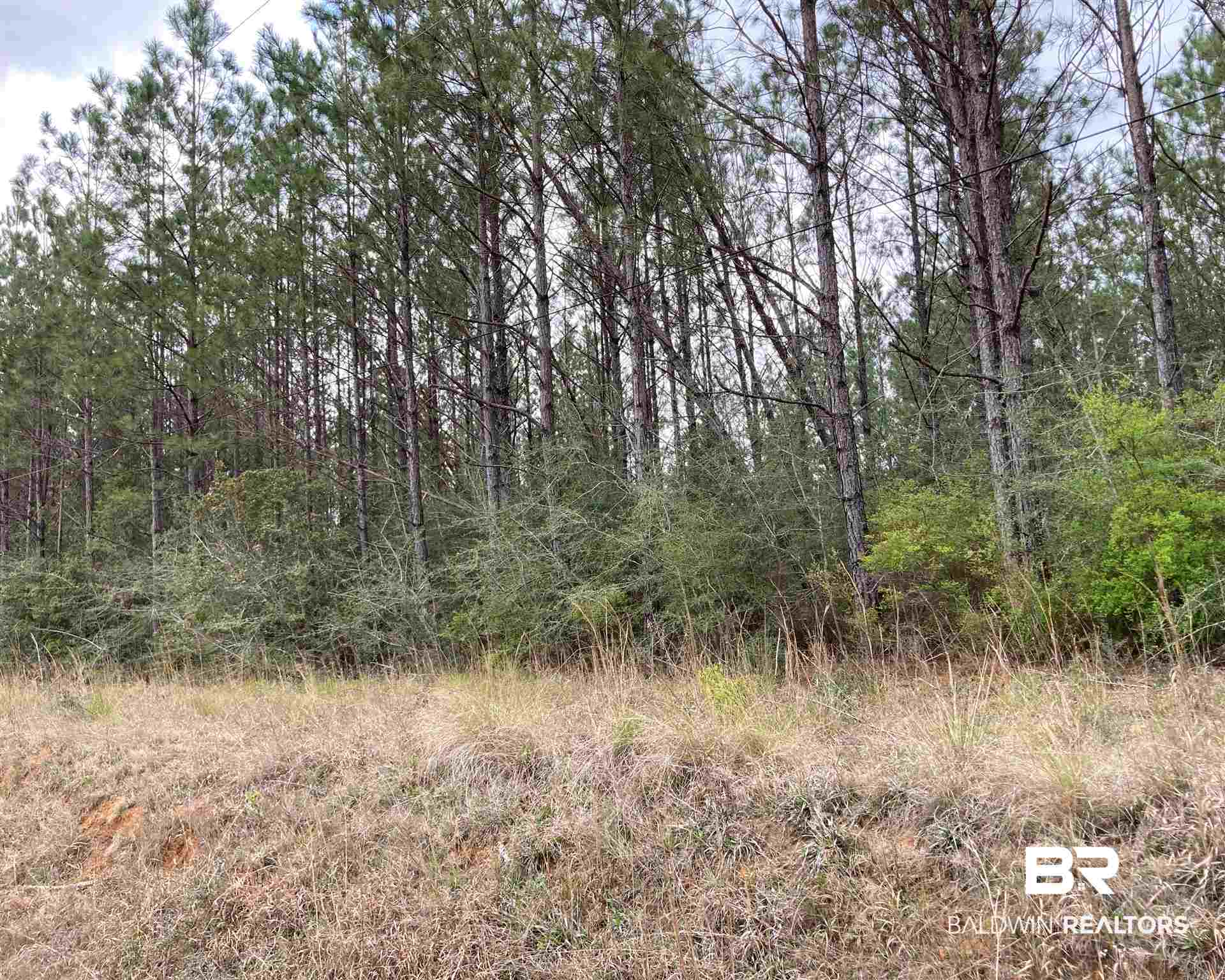 41 New Hope Church Road Robertsdale, AL 36567 - Photo 3 of 5