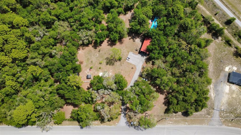 17622 Caufield Road Spring Hill, FL 34610 - Photo 12 of 13