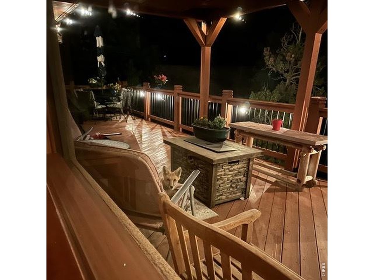 1109 Indian Peak Road Golden, CO 80403 - Photo 48 of 50 Fox lounging on deck