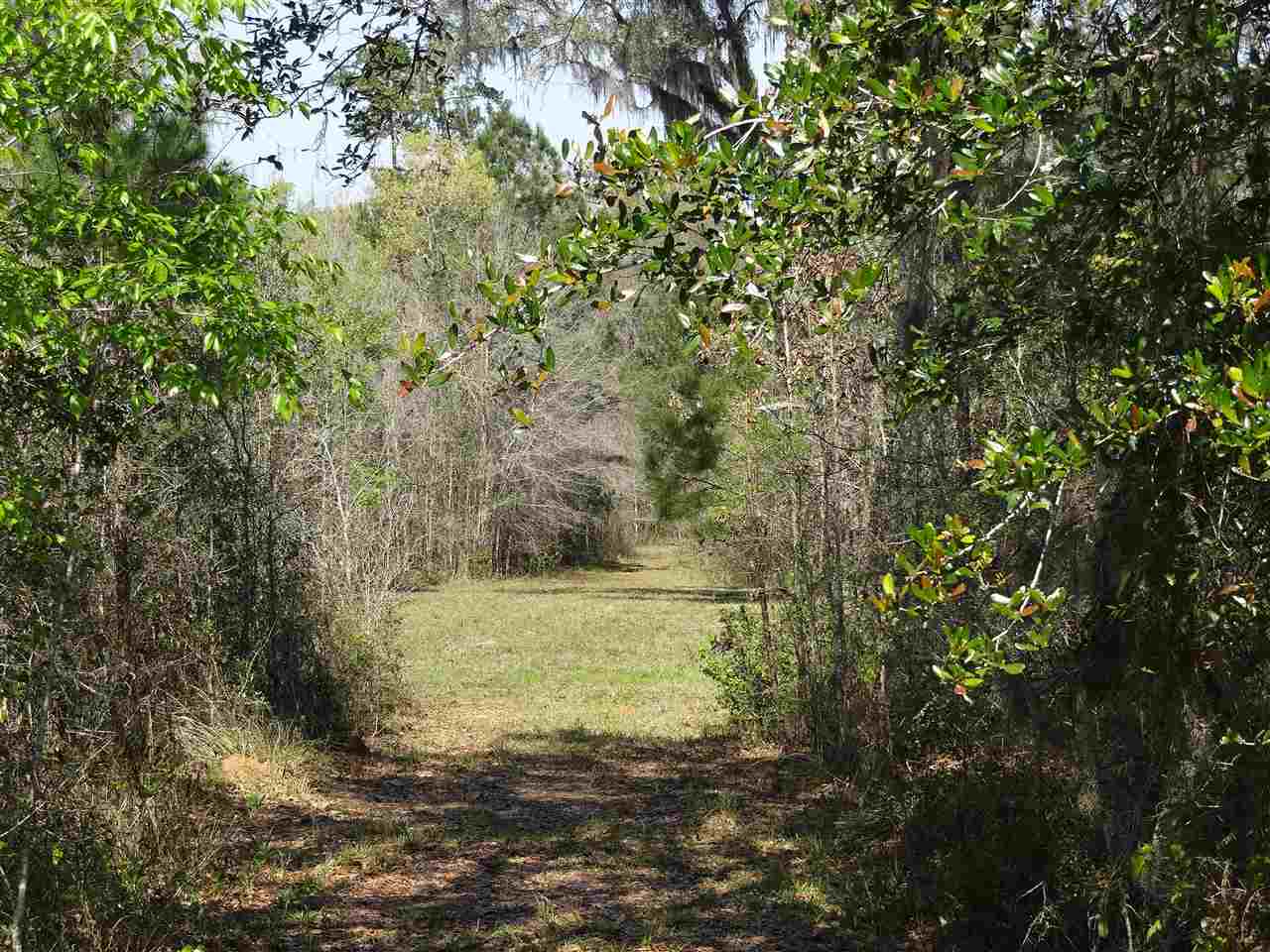 Lot 9 Raspberry Way Tallahassee, FL 32312 - Photo 3 of 3