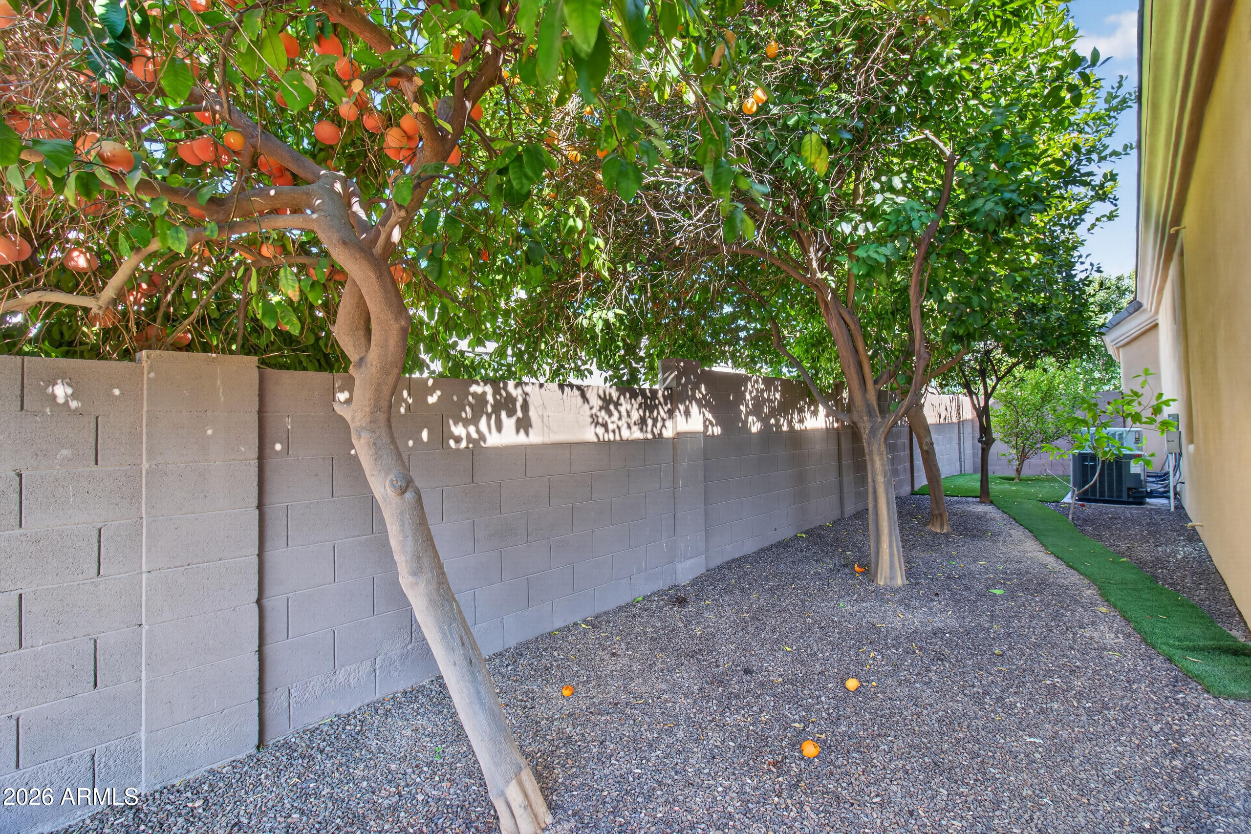 2918 East Waterman Way Gilbert, AZ 85297 - Photo 97 of 113 Citrus
