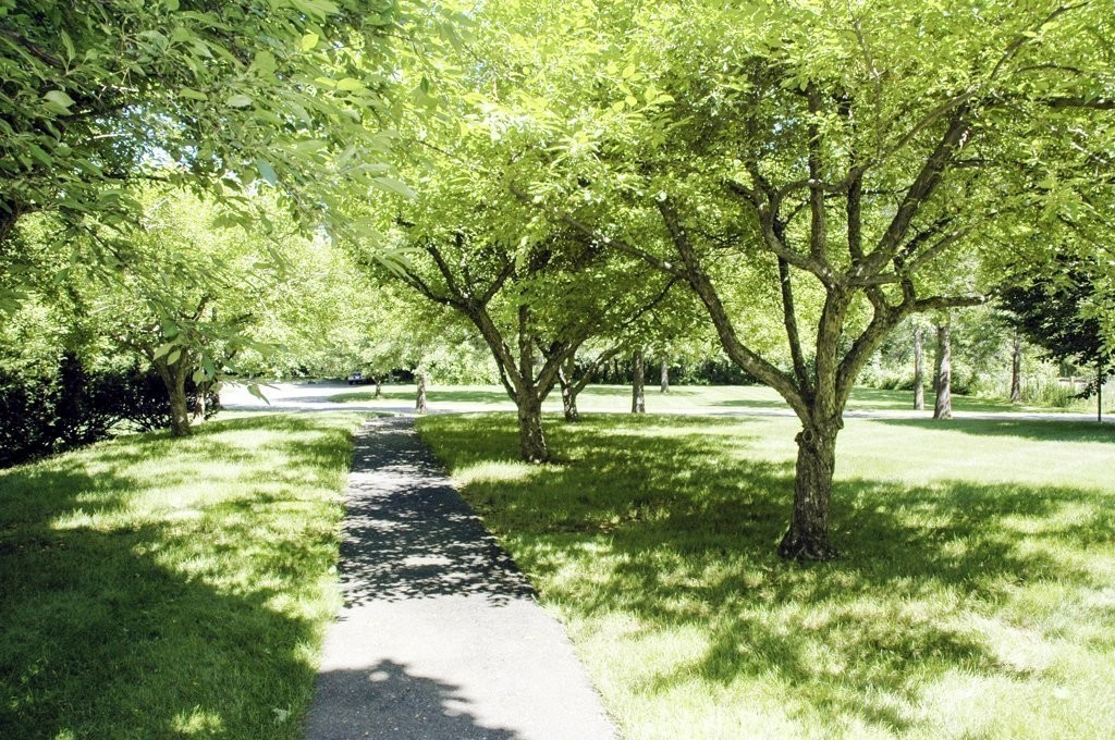 100 Keyes Road, Unit 216 Concord, MA 01742 - Photo 21 of 23