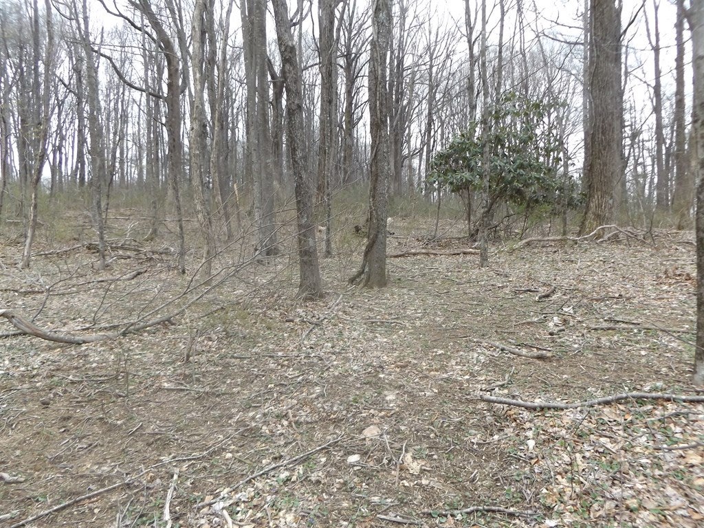 Tbd Blue Ridge Parkway, Unit 5 Fancy Gap, VA 24328 - Photo 7 of 9 Gallery Image 7