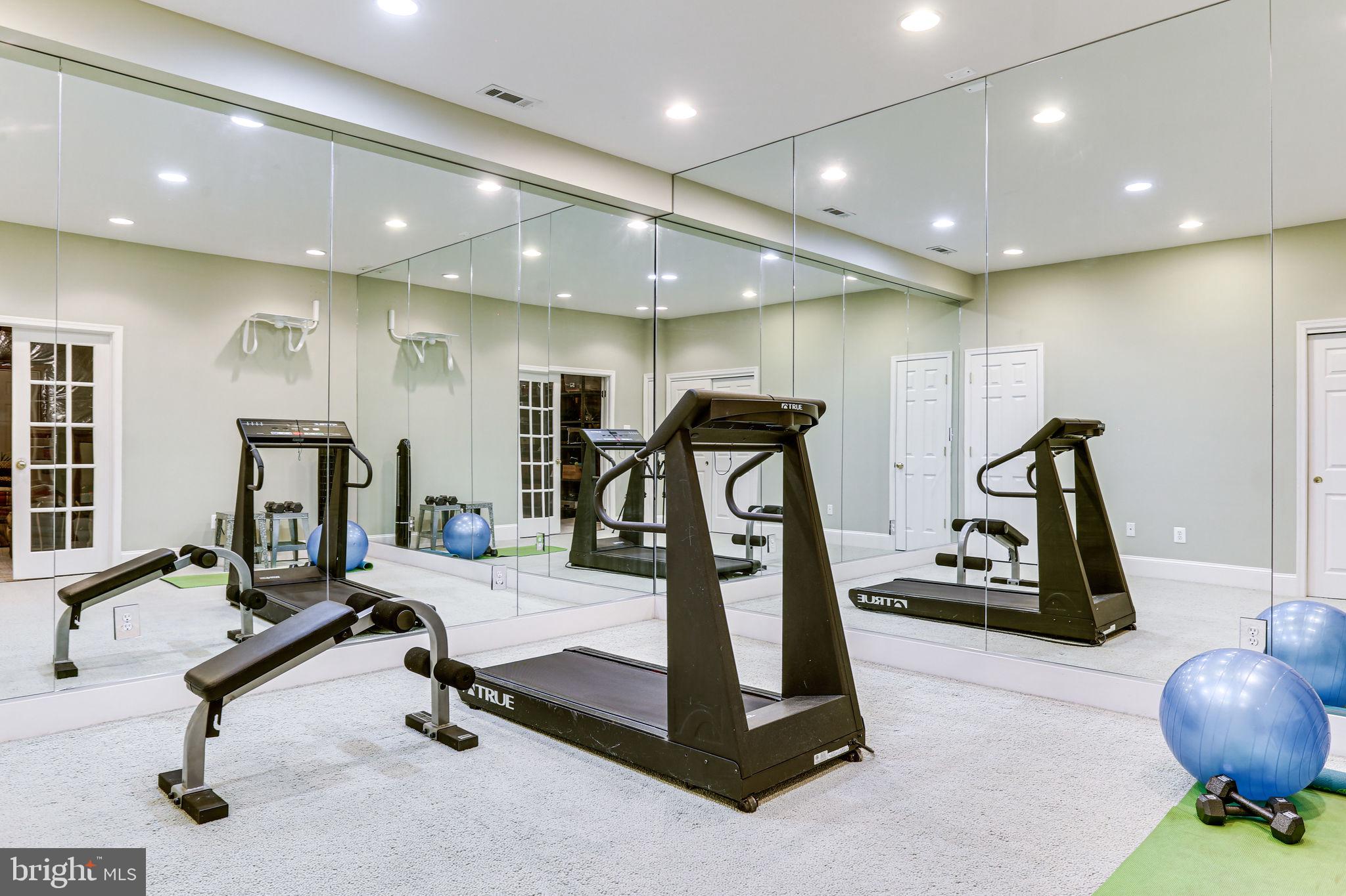 11622 Rolling Meadow Drive Great Falls, VA 22066 - Photo 35 of 45 Exercise Room