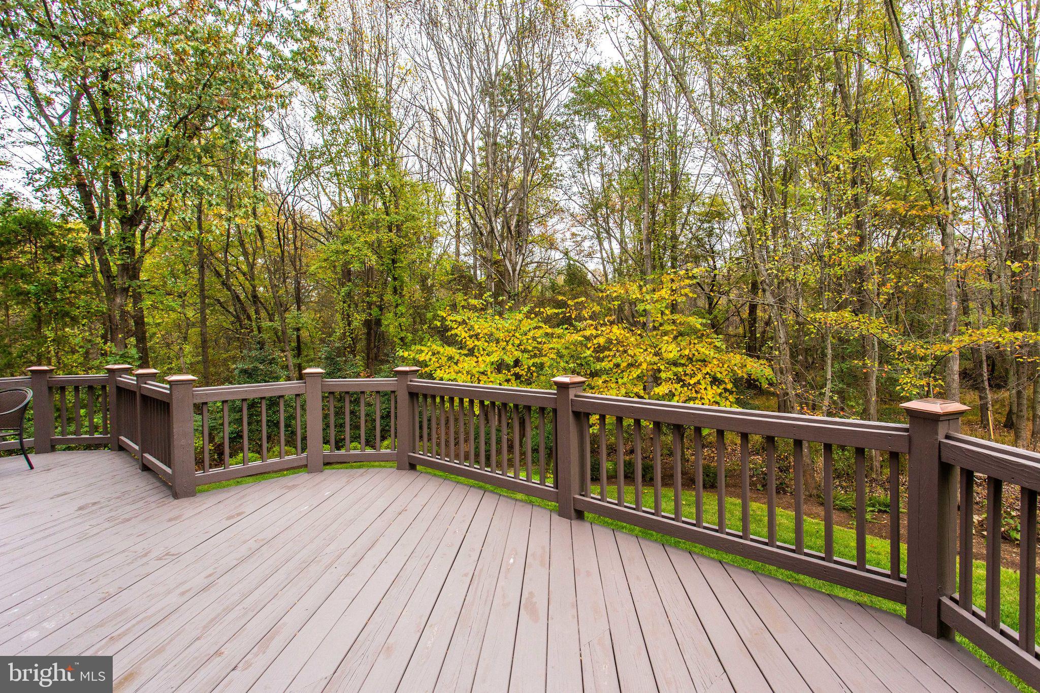 11622 Rolling Meadow Drive Great Falls, VA 22066 - Photo 42 of 45 Enjoy the woodland view