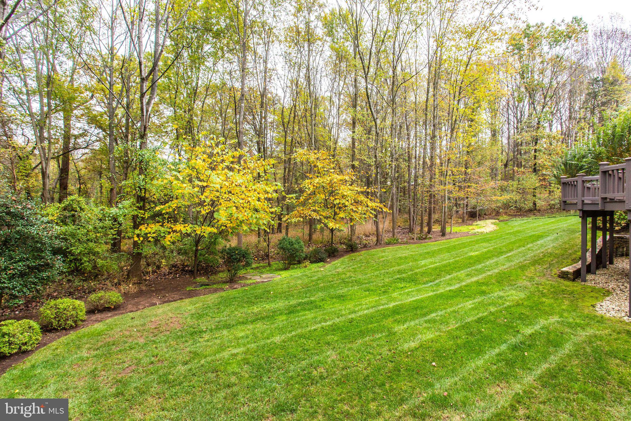 11622 Rolling Meadow Drive Great Falls, VA 22066 - Photo 45 of 45 Serene & private!