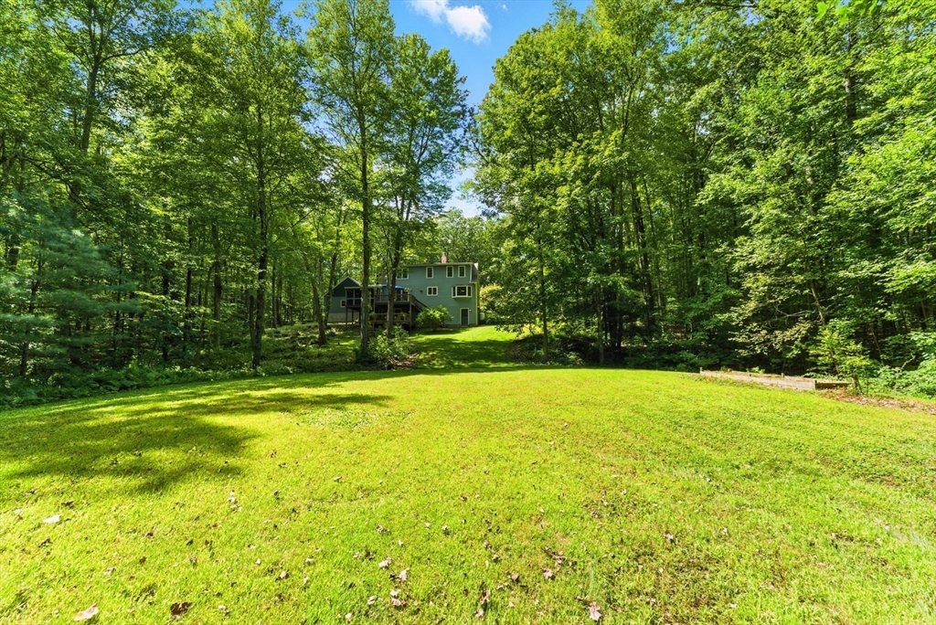 481 Kennedy Road Northampton, MA 01053 - Photo 36 of 40 a view of a large yard with large trees