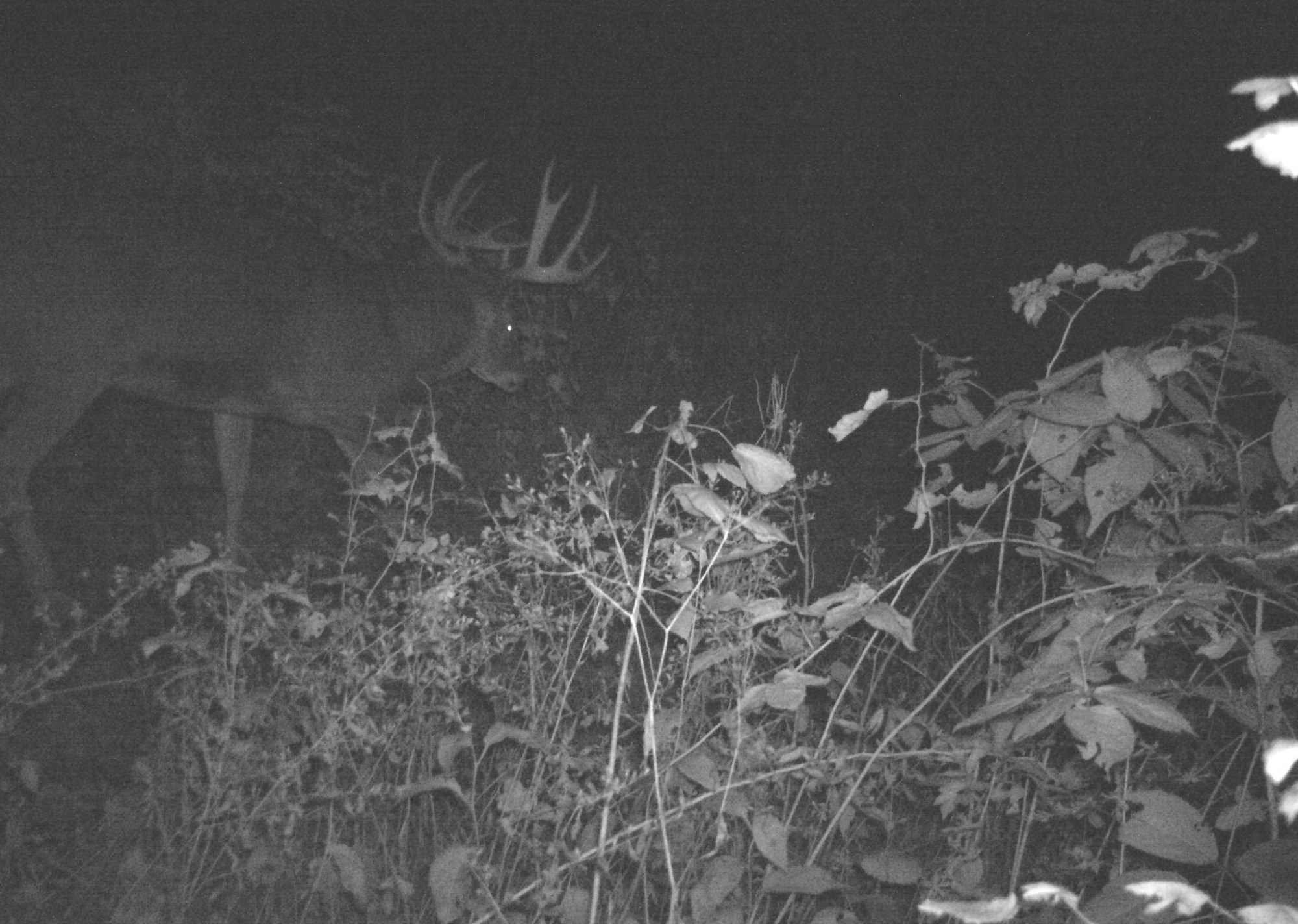 43167 Guthrie Road Gays Mills, WI 54631 - Photo 27 of 62 Gallery Image 27