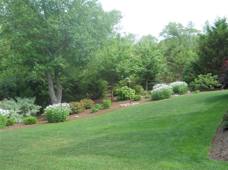 140 Great Marsh Road West Barnstable, MA 02668 - Photo 26 of 30 a view of a garden with plants