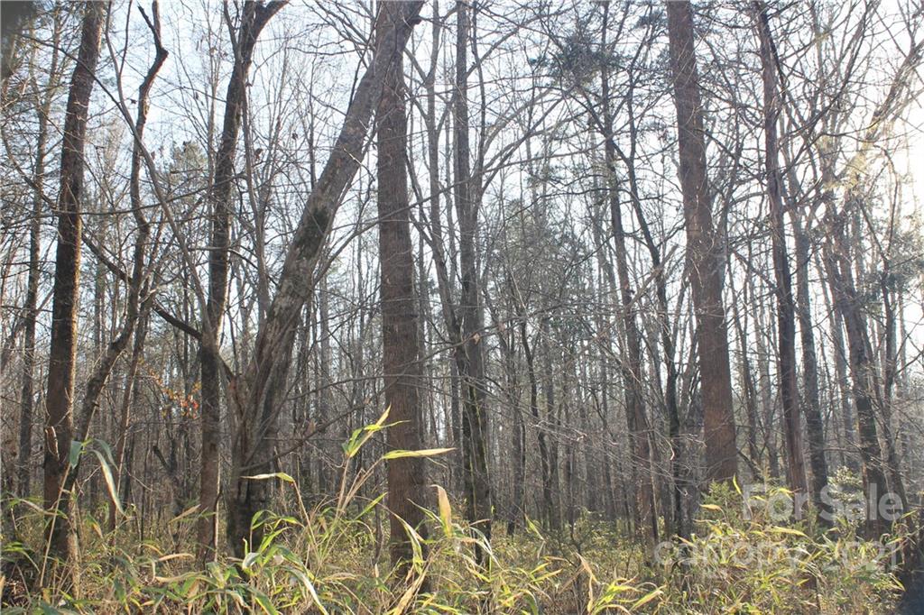 0 Crown Ct Road Richburg, SC 29729 - Photo 13 of 18 Gallery Image 13