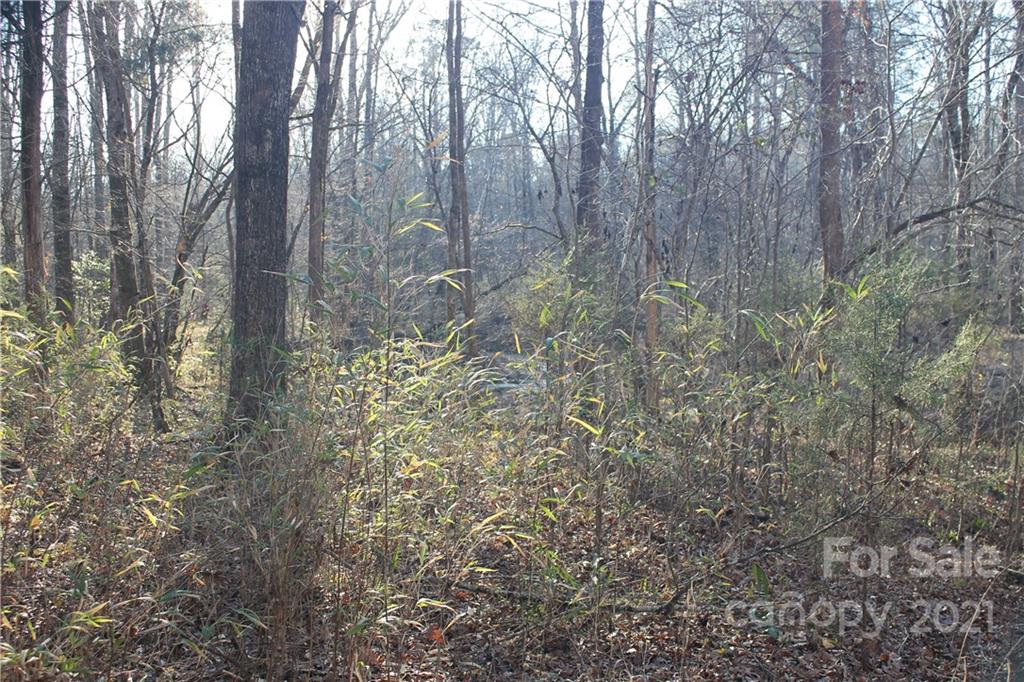 0 Crown Ct Road Richburg, SC 29729 - Photo 14 of 18 Gallery Image 14