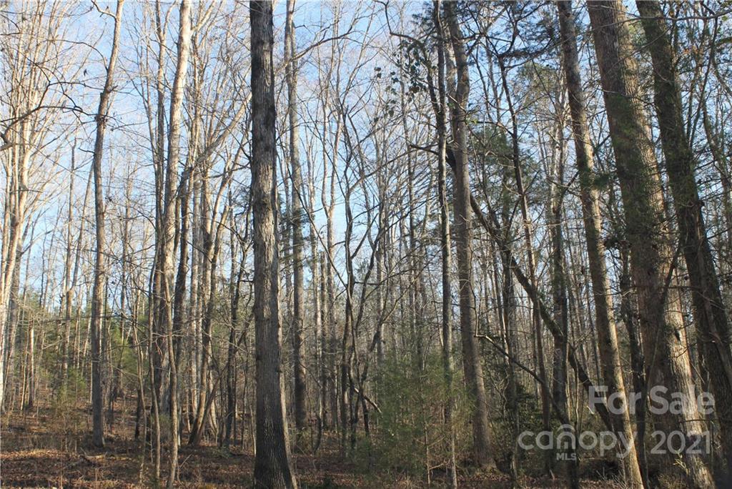 0 Crown Ct Road Richburg, SC 29729 - Photo 16 of 18 Gallery Image 16