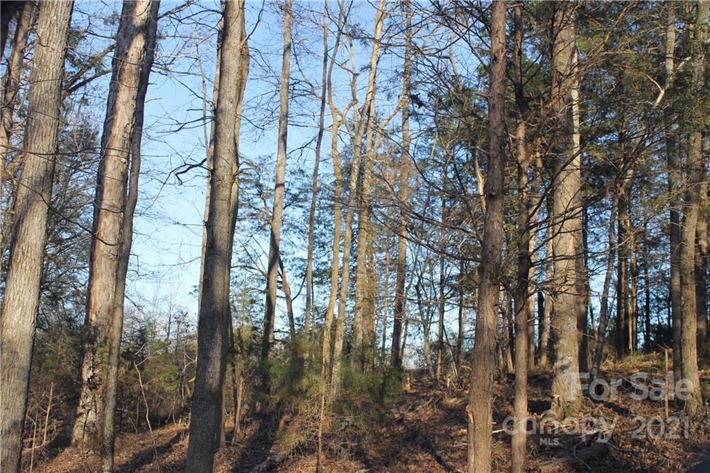 0 Crown Ct Road Richburg, SC 29729 - Photo 17 of 18 Gallery Image 17