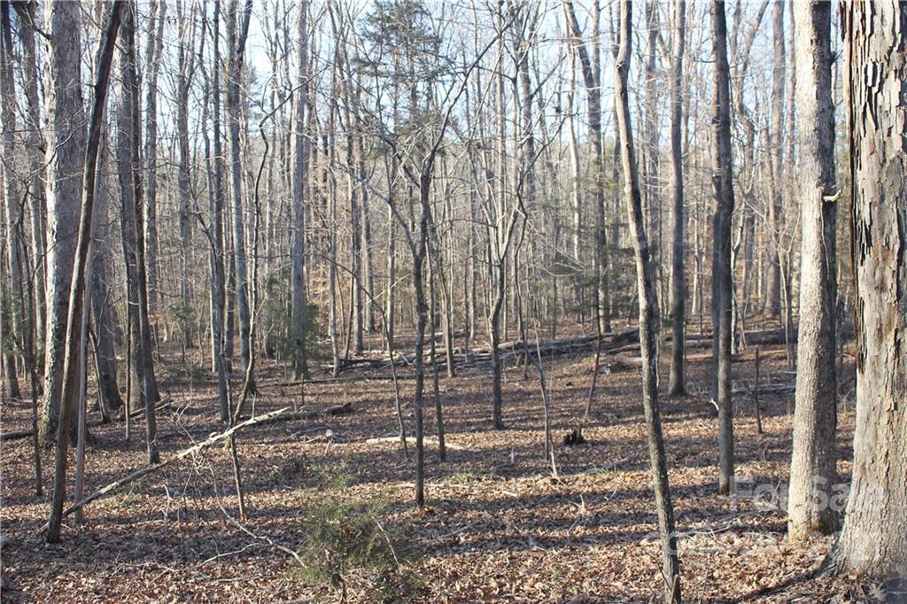 0 Crown Ct Road Richburg, SC 29729 - Photo 18 of 18 Gallery Image 18