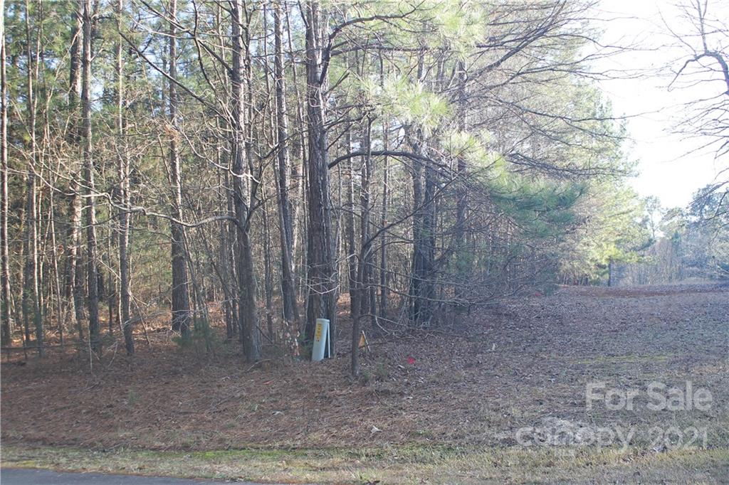 0 Crown Ct Road Richburg, SC 29729 - Photo 2 of 18 Gallery Image 2