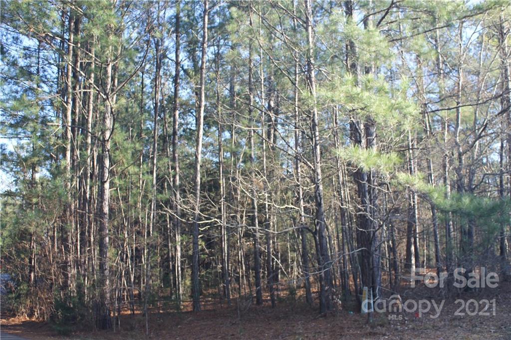 0 Crown Ct Road Richburg, SC 29729 - Photo 3 of 18 Gallery Image 3