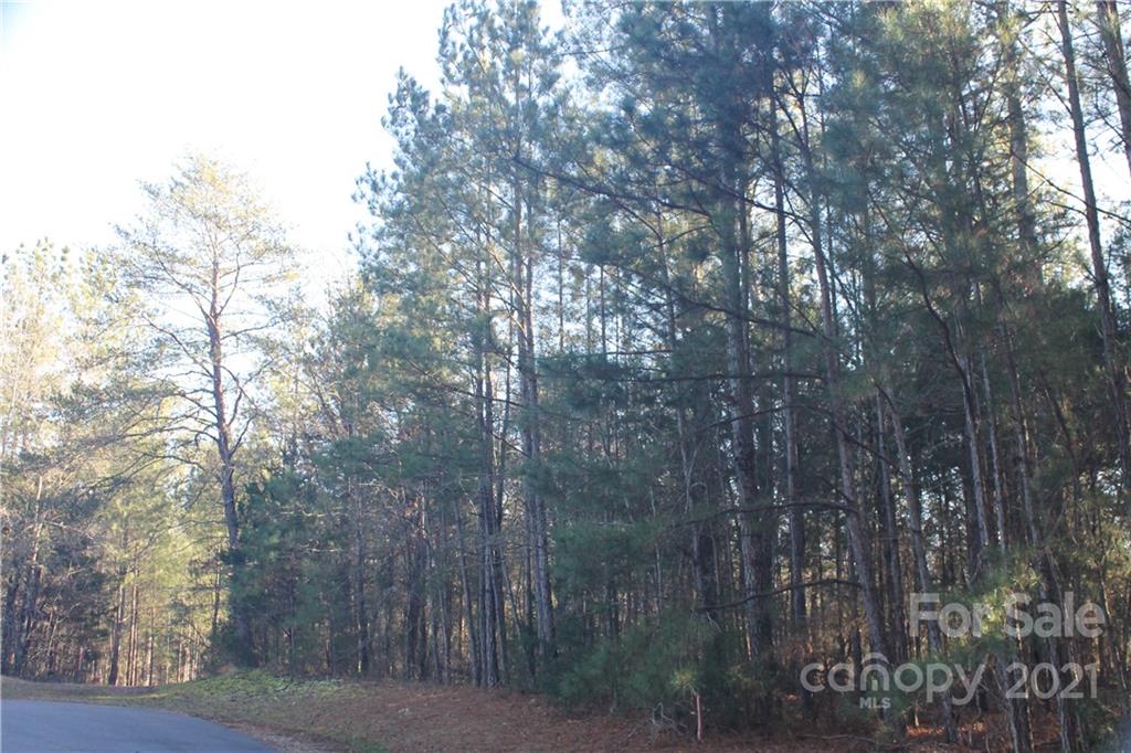0 Crown Ct Road Richburg, SC 29729 - Photo 4 of 18 Gallery Image 4