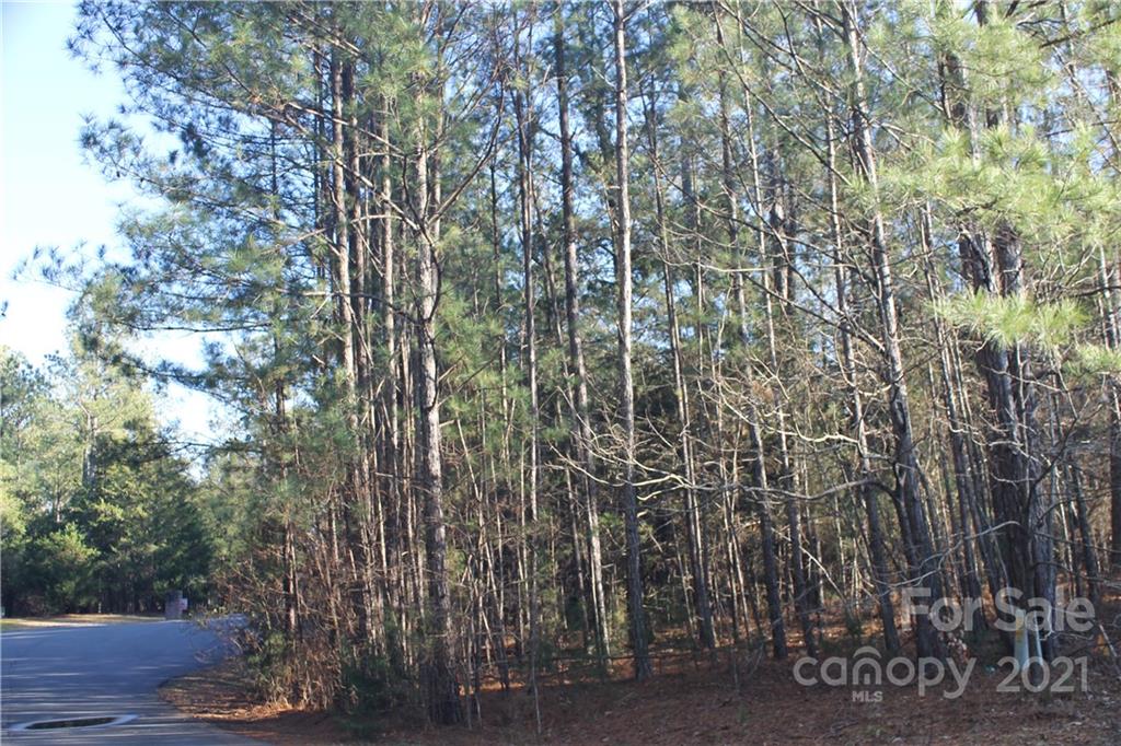 0 Crown Ct Road Richburg, SC 29729 - Photo 5 of 18 Gallery Image 5