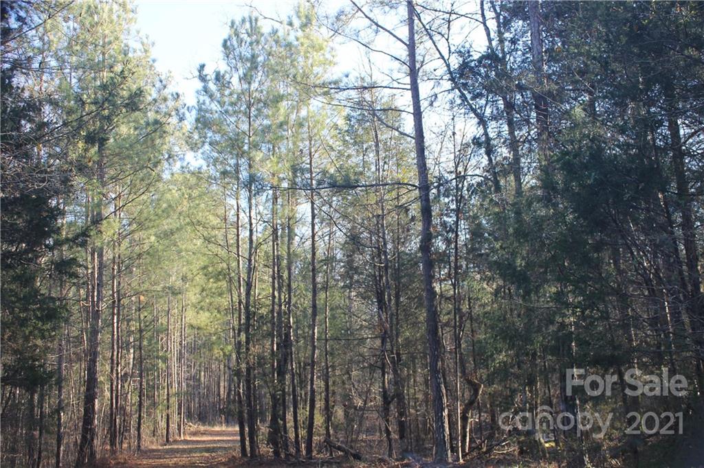 0 Crown Ct Road Richburg, SC 29729 - Photo 6 of 18 Gallery Image 6