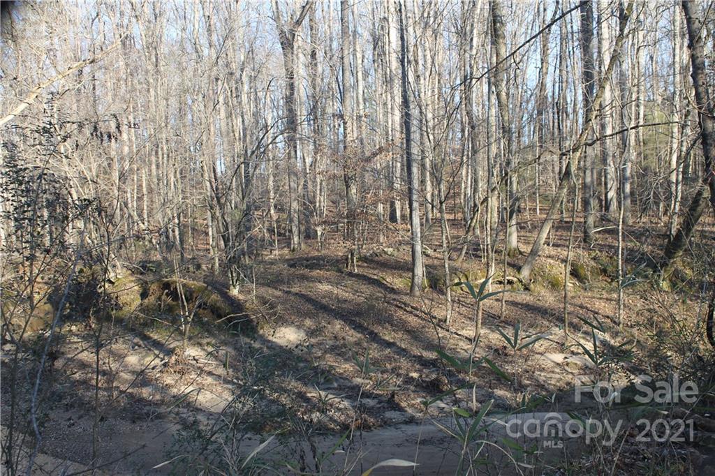 0 Crown Ct Road Richburg, SC 29729 - Photo 10 of 18 Gallery Image 10
