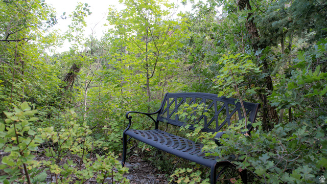 3 Sundance Rec Resort, Unit 3 Provo, UT 84604 - Photo 7 of 30 Walking trail and resting bench through the lot.
