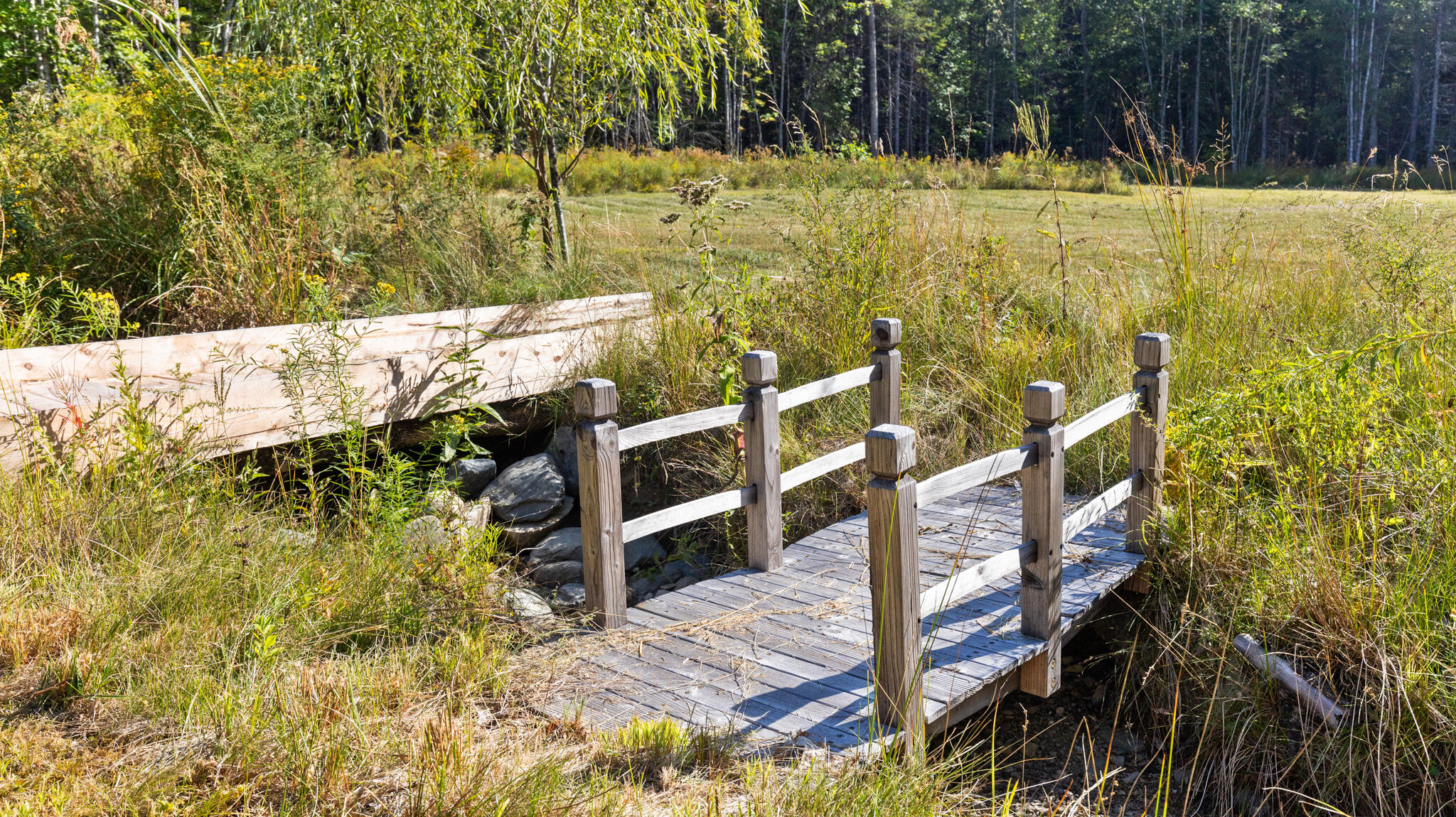 253 Shaw Hill Road Hampden, ME 04444 - Photo 15 of 69 _MG_1298
