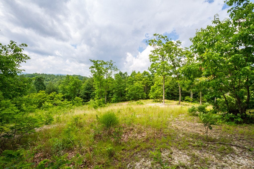 Lot 4 Gem Stream Road, Unit 4 Elk Creek, VA 24326 - Photo 19 of 33 Gallery Image 19