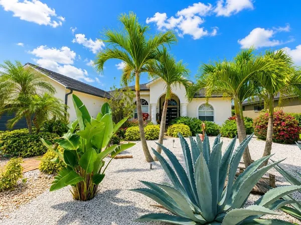 a view of a potted plants on a patio