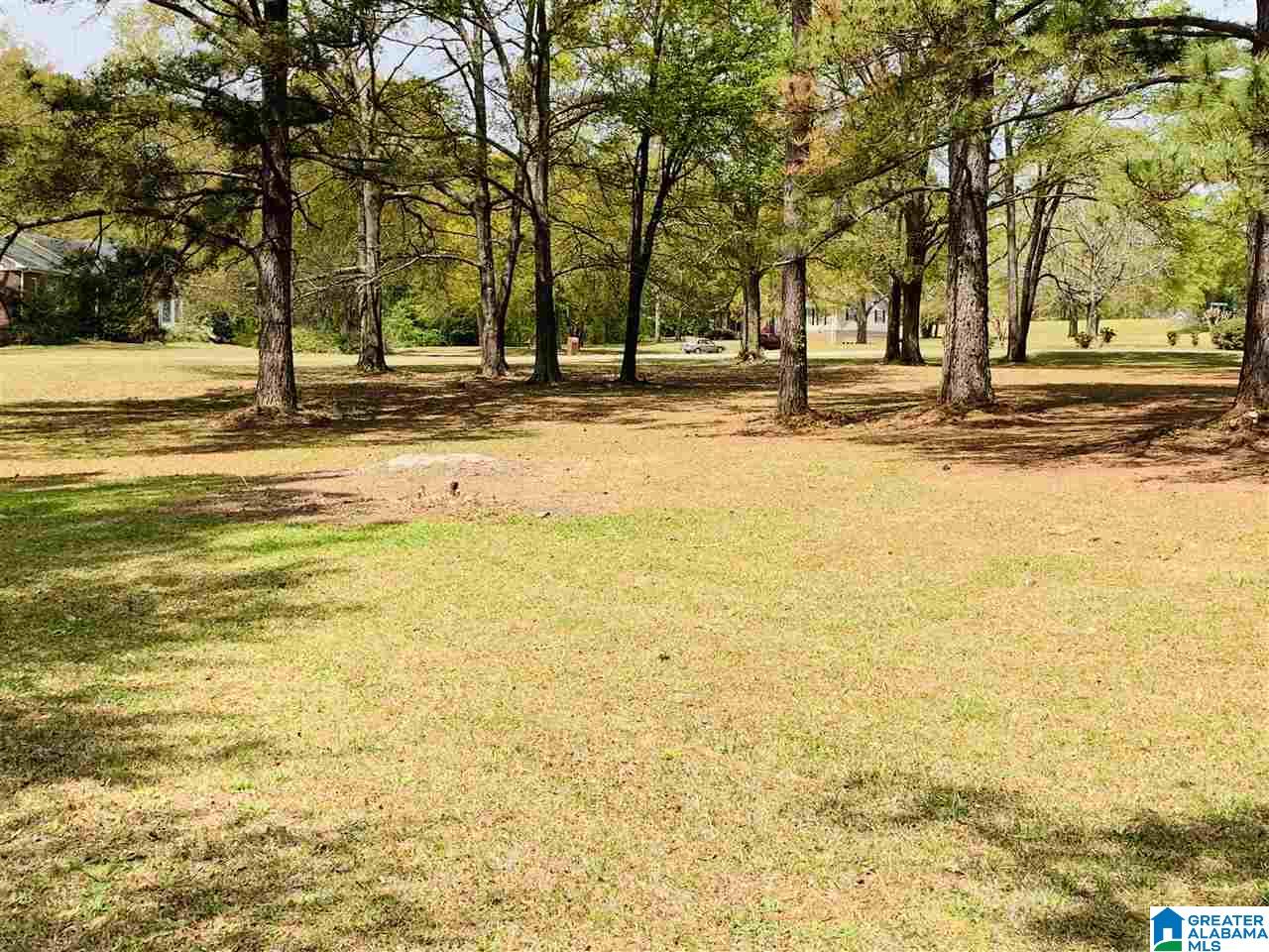 0 Carleton Point, Unit 10 Wilsonville, AL 35186 - Photo 11 of 14