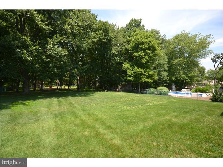 668 Griffiths Road Warrington, PA 18976 - Photo 25 of 25 Back Yard