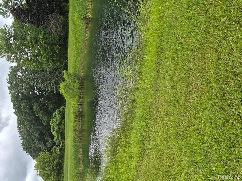 12849 South Delaney Road Perry, MI 48872 - Photo 10 of 34