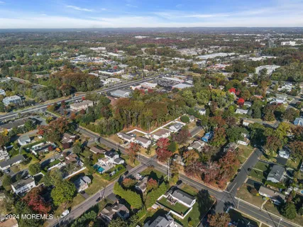 a view of a city with a tree