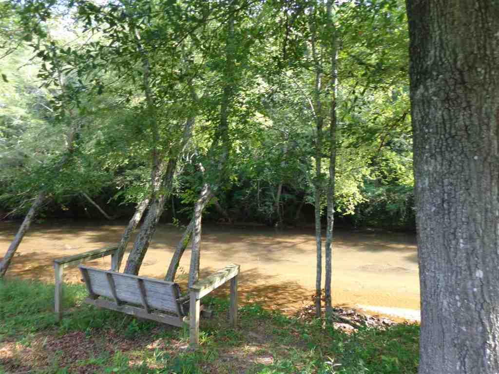 560 Robinson Bridge Road Central, SC 29630 - Photo 3 of 34