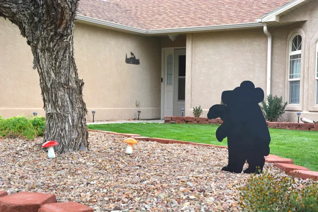 a view of a house with a dry yard