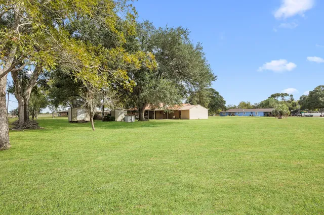 a view of a park with large trees