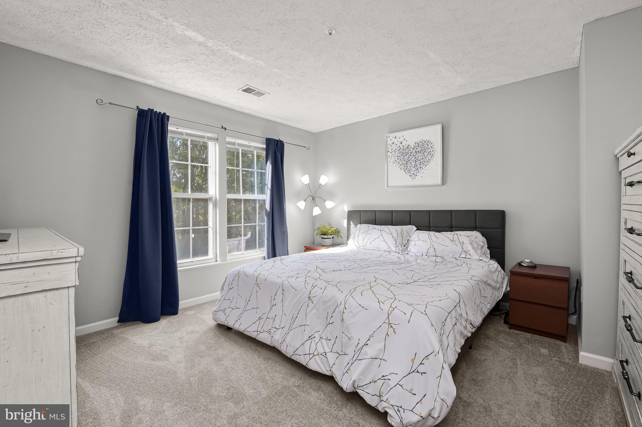 6552 Ellington Way Frederick, MD 21703 - Photo 20 of 45 Primary Bedroom | WIC