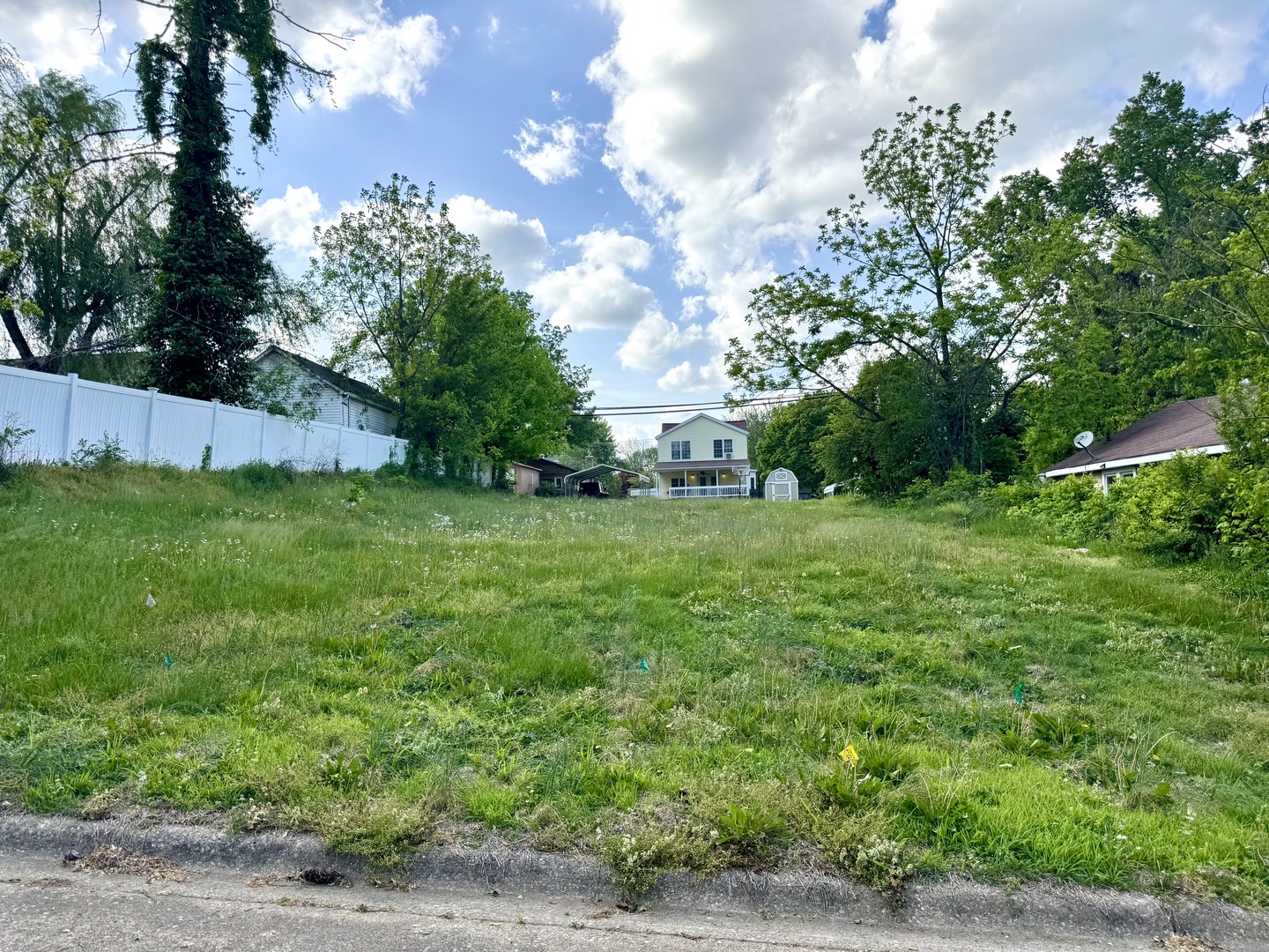 513 South Street Anna, IL 62906 - Photo 1 of 2 a view of a big yard with plants and large trees