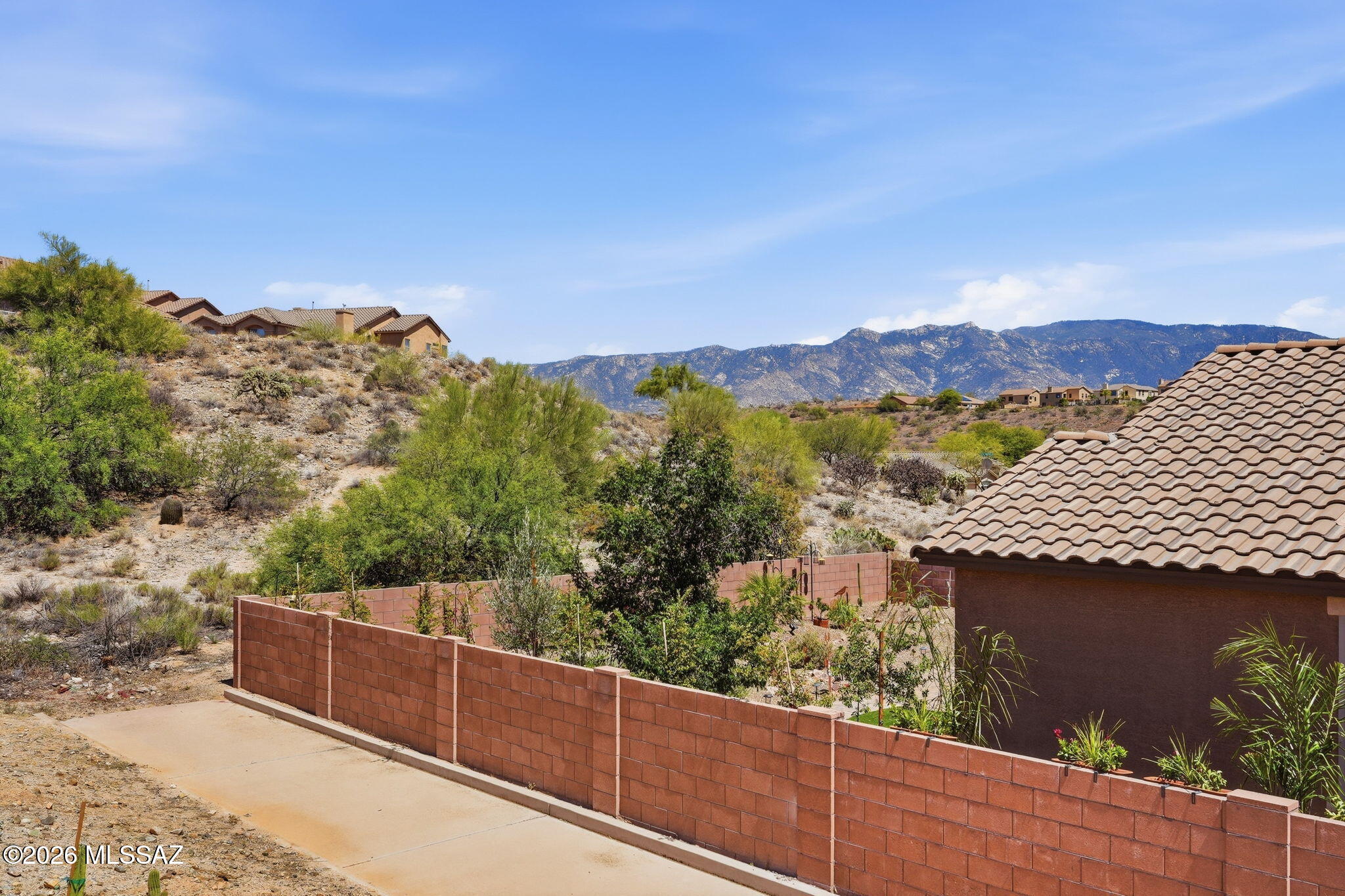 39054 South Running Roses Lane Tucson, AZ 85739 - Photo 42 of 44