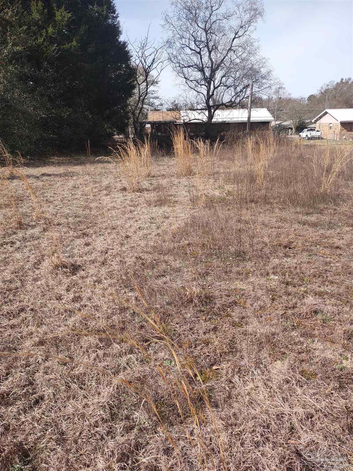 2242 Handy Road Cantonment, FL 32533 - Photo 3 of 7