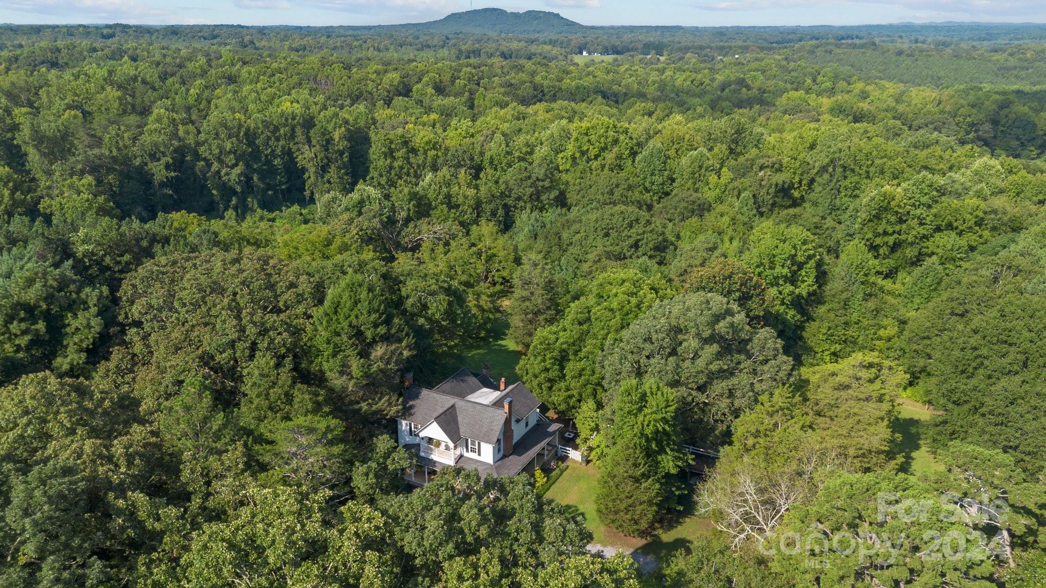 1189 Rhyne Road Clover, SC 29710 - Photo 43 of 48 a view of a lush green forest with a house