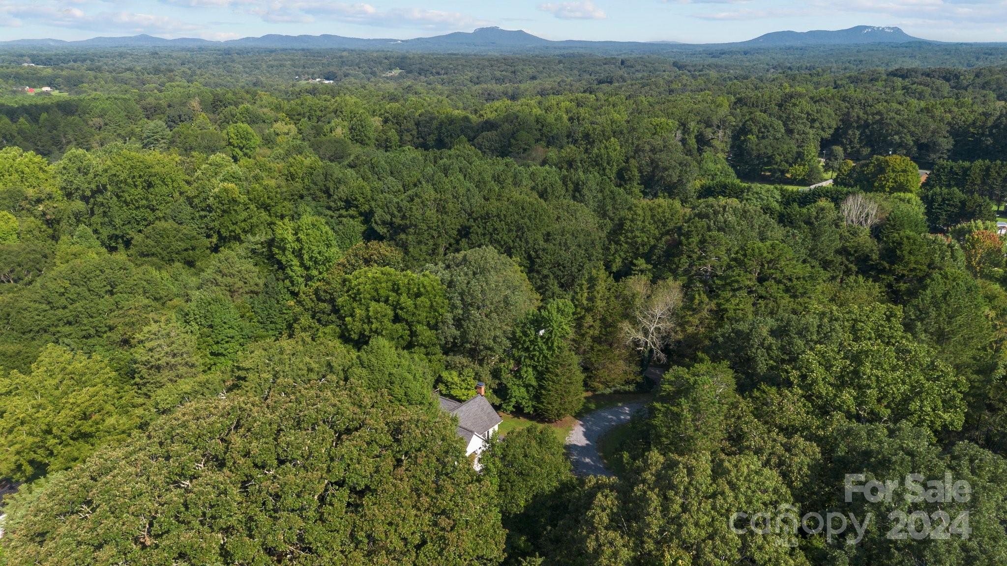 1189 Rhyne Road Clover, SC 29710 - Photo 45 of 48 a view of a lush green forest with lush green forest