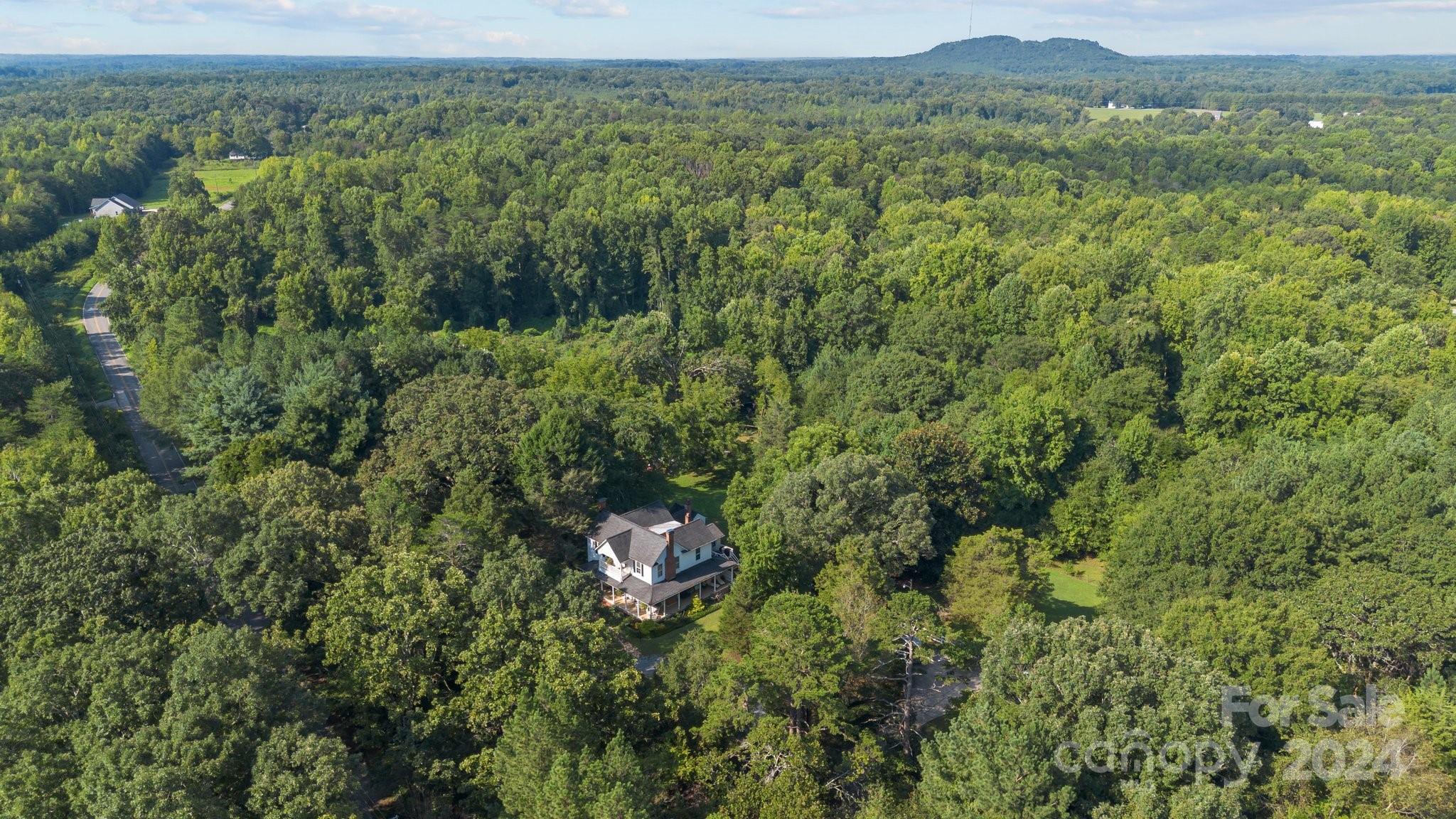 1189 Rhyne Road Clover, SC 29710 - Photo 46 of 48 a view of a lush green forest with trees and houses