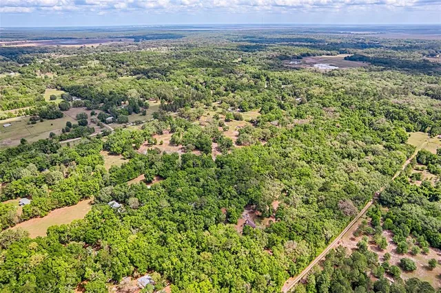 a view of a lush green forest with a building and trees in the background