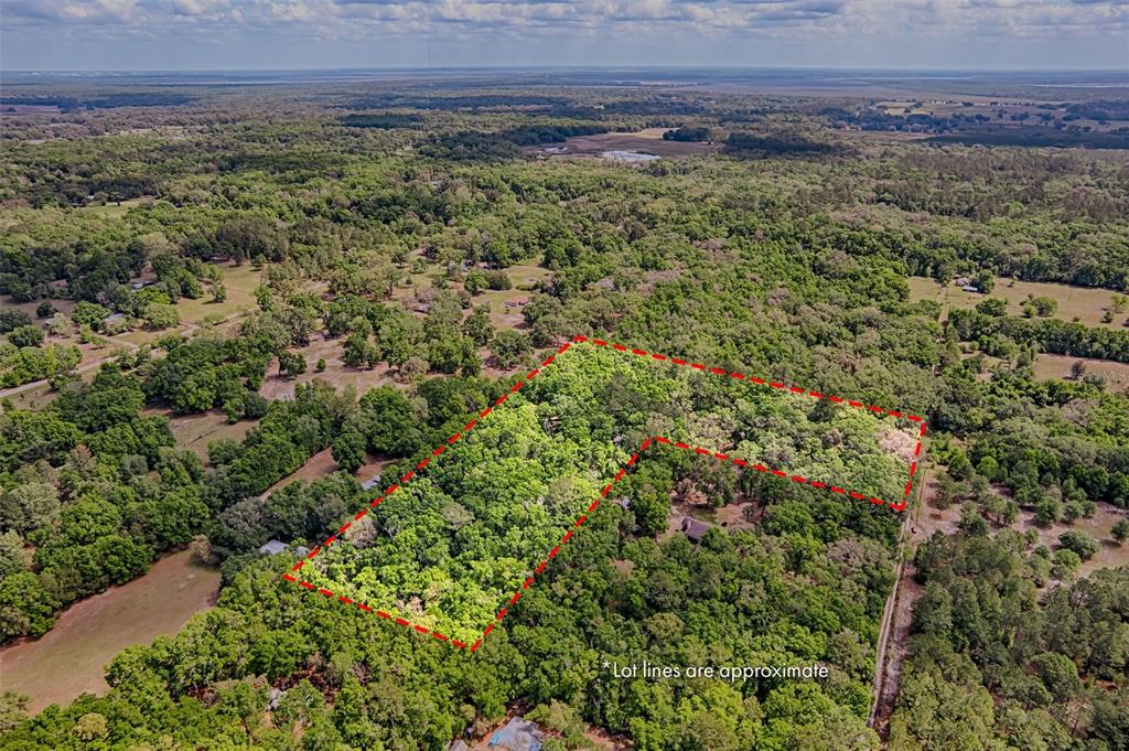 0 Southwest 157th Avenue Archer, FL 32618 - Photo 15 of 16 a view of a lush green forest with trees and grass
