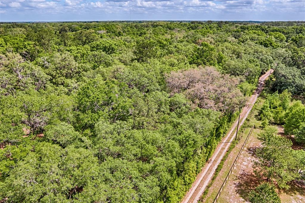 0 Southwest 157th Avenue Archer, FL 32618 - Photo 4 of 16 a view of a lush green field