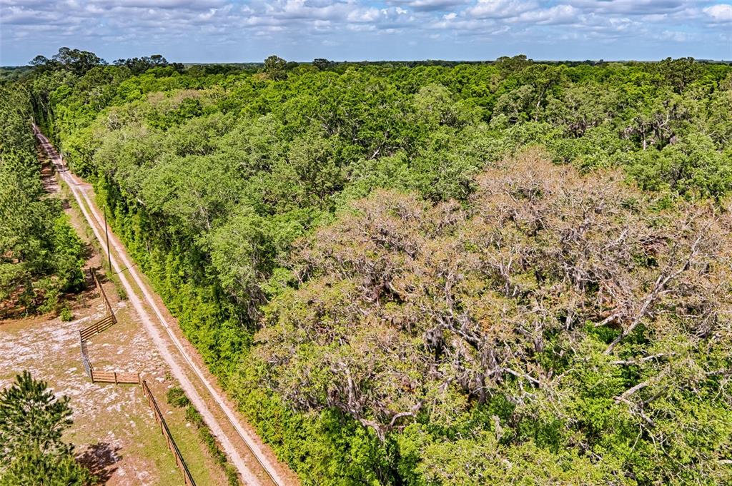 0 Southwest 157th Avenue Archer, FL 32618 - Photo 5 of 16 a view of balcony with plants and large trees