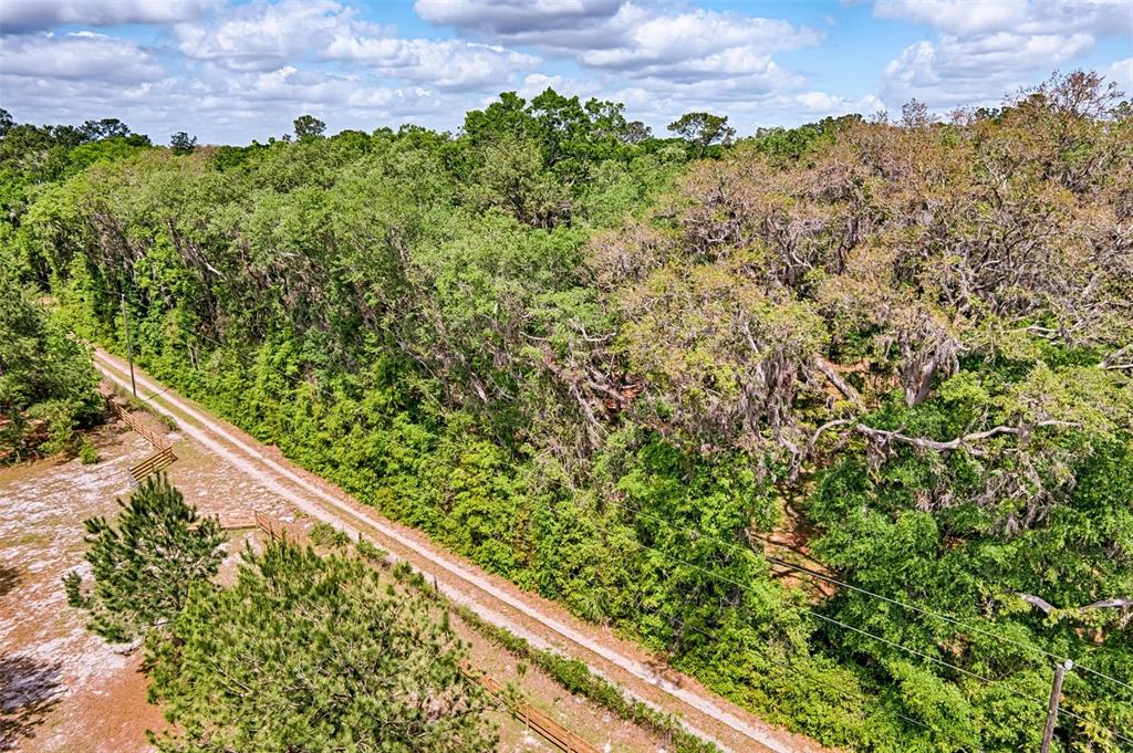 0 Southwest 157th Avenue Archer, FL 32618 - Photo 6 of 16 a view of a green field with lots of bushes