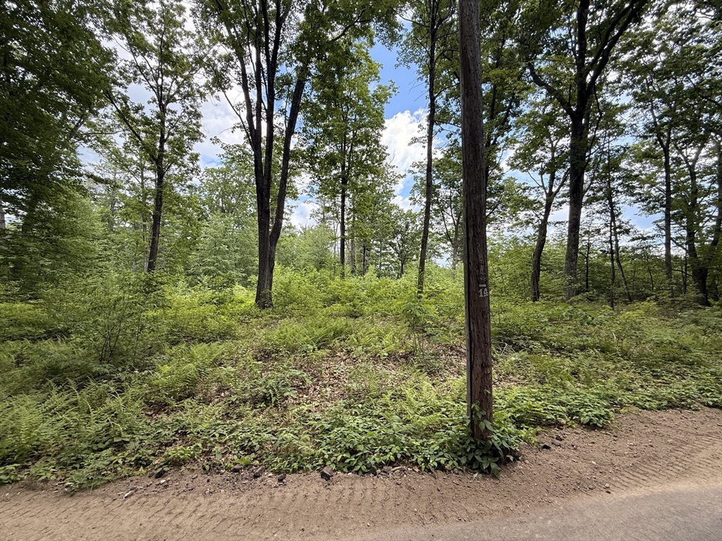 92 Ridge Road Rutland, MA 01543 - Photo 8 of 8