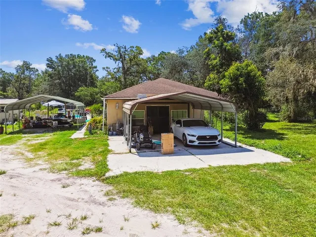 a view of a park with large trees