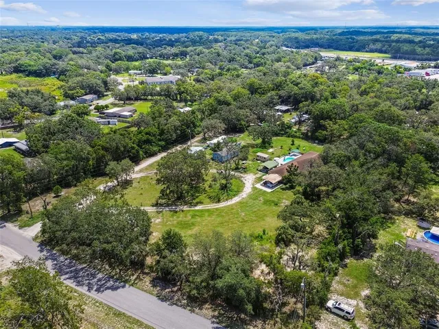 a view of a garden with plants